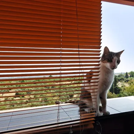 Panoramaloft - Quality, View, Sea & Mountain